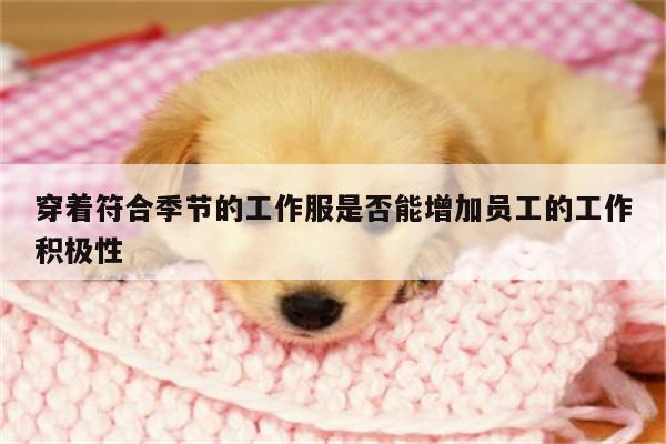 德赢vwin158-穿着符合季节的工作服是否能增加员工的工作积极性