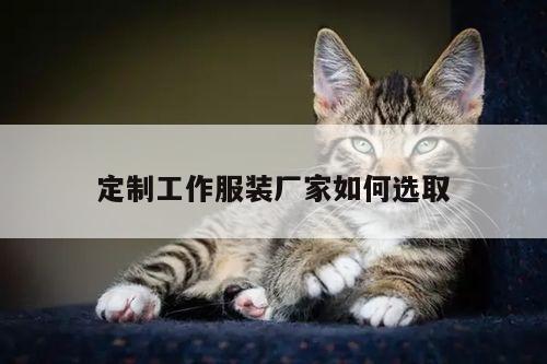 定制工作服装厂家如何选取【德赢vwin158】