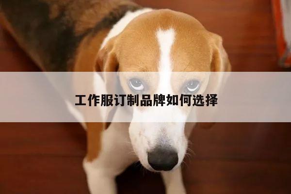 德赢vwinac米兰_工作服订制品牌如何选择