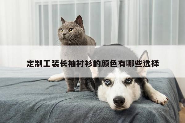 德赢vwinac米兰|定制工装长袖衬衫的颜色有哪些选择