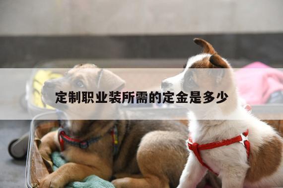 德赢vwinac米兰_定制职业装所需的定金是多少