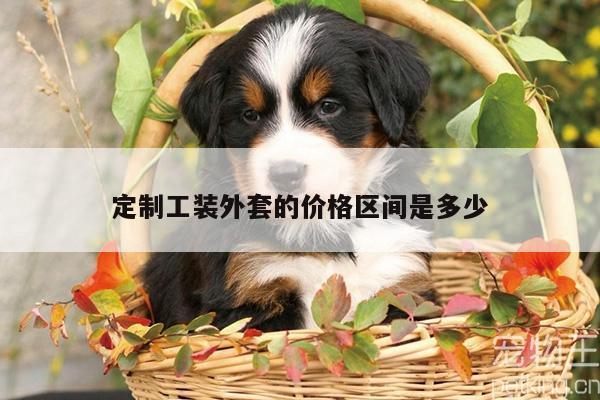 定制工装外套的价格区间是多少：德赢vwin官方网站