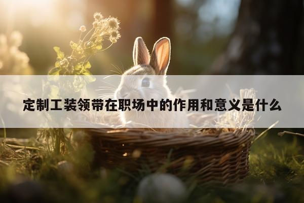 德赢vwin官网：定制工装领带在职场中的作用和意义是什么