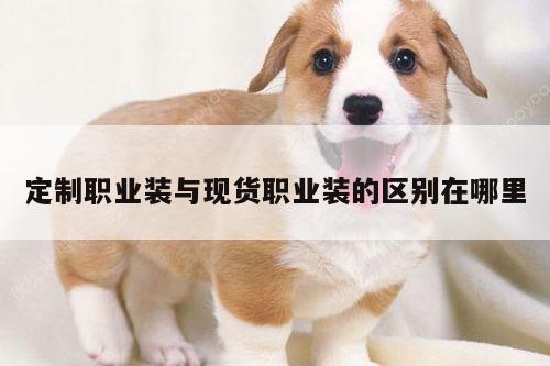 德赢vwin官网|定制职业装与现货职业装的区别在哪里