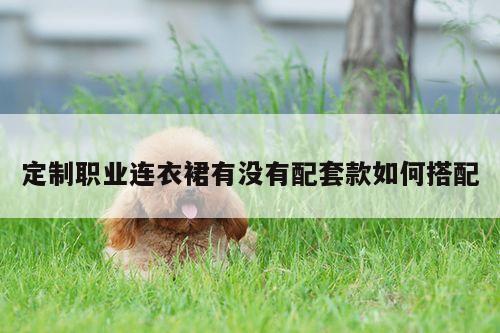 【德赢vwinac米兰】定制职业连衣裙有没有配套款如何搭配