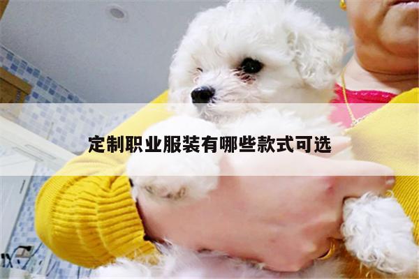 定制职业服装有哪些款式可选：德赢vwinac米兰