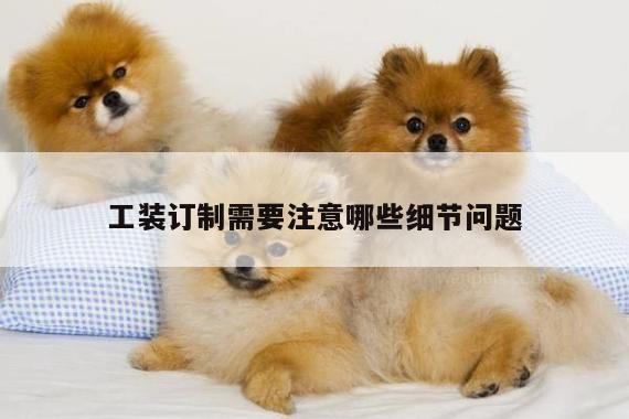 德赢vwin官方网站：工装订制需要注意哪些细节问题