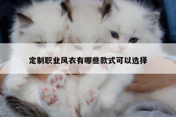 德赢vwin官方网站_定制职业风衣有哪些款式可以选择
