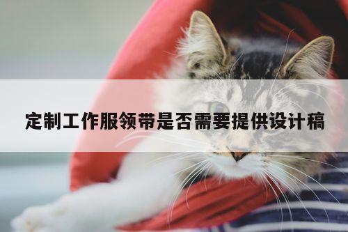 定制工作服领带是否需要提供设计稿|德赢vwin官方网站