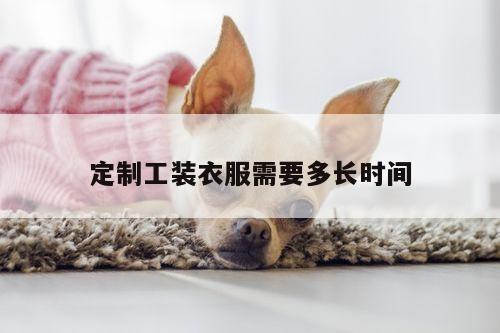 定制工装衣服需要多长时间-德赢vwinac米兰