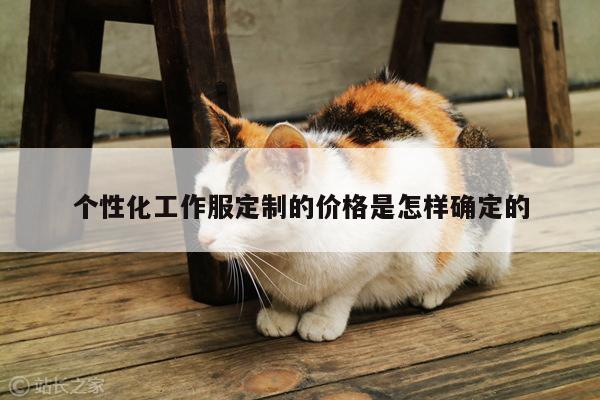 个性化工作服定制的价格是怎样确定的|德赢vwin官方网站