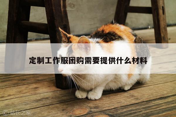 德赢vwin官方网站|定制工作服团购需要提供什么材料