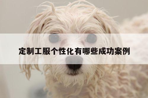 定制工服个性化有哪些成功案例|德赢vwin158