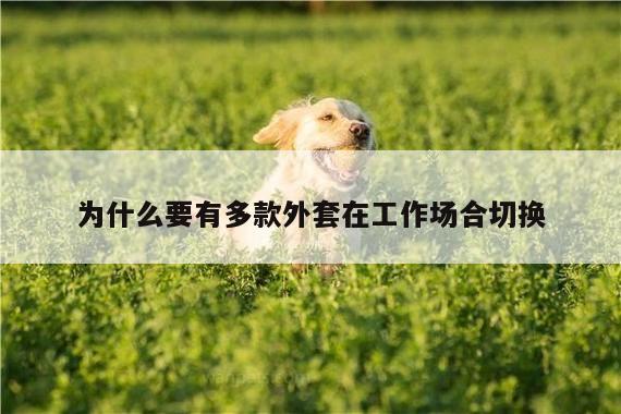 为什么要有多款外套在工作场合切换|德赢vwinac米兰