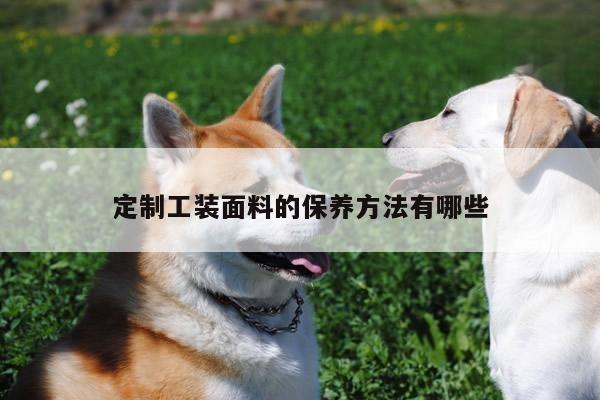 定制工装面料的保养方法有哪些|德赢vwin官网