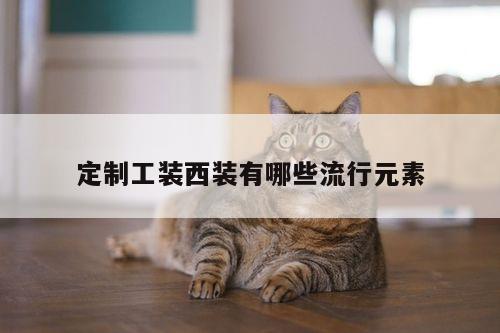 定制工装西装有哪些流行元素|德赢vwinac米兰