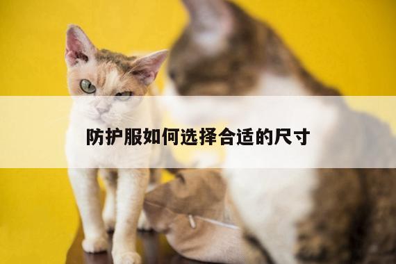 防护服如何选择合适的尺寸